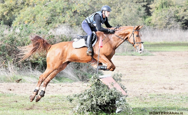 Equitazione: a Tanca Regia Luigi Iriu vince il titolo regionale di Completo
