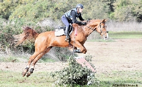 Equitazione: a Tanca Regia Luigi Iriu vince il titolo regionale di Completo