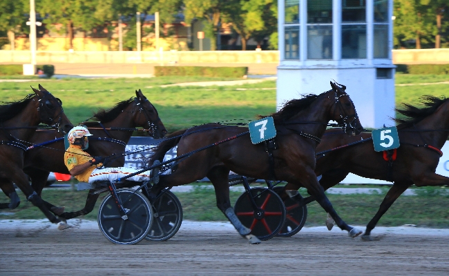 Ippica Ippodromo di Bologna: giovedì 20 novembre otto confronti al top con inizio alle 14:50