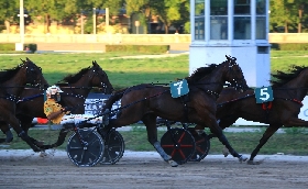 Ippica Ippodromo di Bologna: giovedì 20 novembre otto confronti al top con inizio alle 14:50
