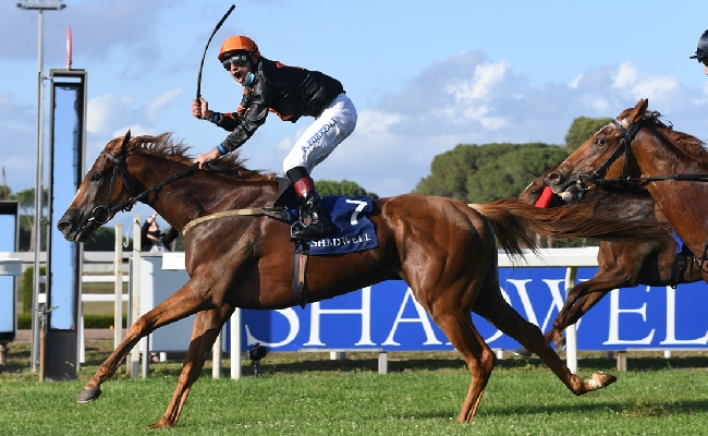 Ippica Ippodromo Capannelle: sabato 22 novembre otto corse per la riunione di trotto