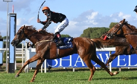 Ippica Ippodromo Capannelle: sabato 22 novembre otto corse per la riunione di trotto