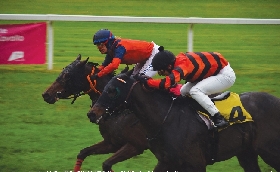 Ippica il venerdì di galoppo freddo e piovoso all'Ippodromo Snai San Siro premia la super forma di Falcone e la tenacia di Exciting Brave. Sabato senza pioggia con il St Leger italiano e il Premio Campobello