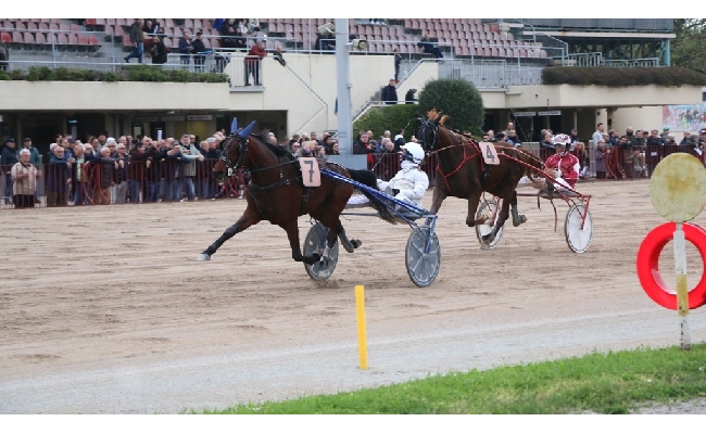 Ippica Ippodromo di Bologna: vincitori classici e ottimi puledri protagonisti giovedì 27 novembre. Convegno di sette corse dalle 15:30