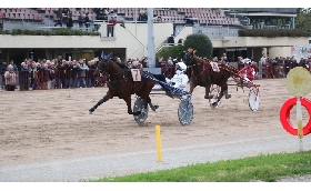 Ippica Ippodromo di Bologna: vincitori classici e ottimi puledri protagonisti giovedì 27 novembre. Convegno di sette corse dalle 15:30