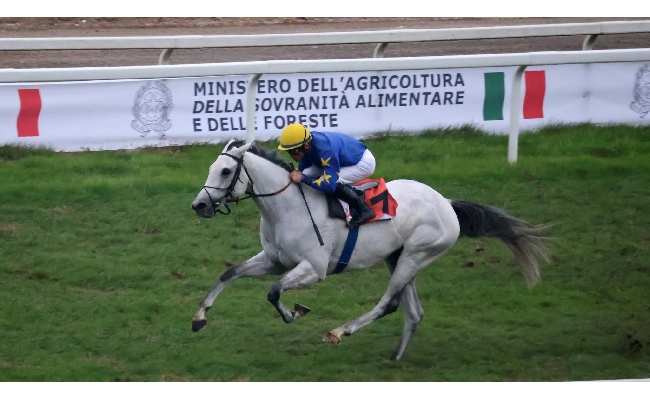 Ippica all'Ippodromo Snai San Siro ultimo sabato di novembre con le corse al galoppo. Al via dalle ore 14.45 con sei prove e l'animazione per i bambini e le famiglie