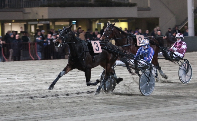 Ippica Ippodromo di Bologna: domenica 30 novembre la selezione regionale del Palio dei Proprietari e altre sette corse. Dalle 15