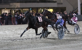 Ippica Ippodromo di Bologna: domenica 30 novembre la selezione regionale del Palio dei Proprietari e altre sette corse. Dalle 15
