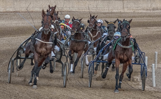 Ippica Domenica di festa a Castelluccio: belle corse e tanto intrattenimento