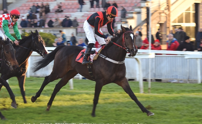 Ippica l'ultimo sabato di galoppo nel mese di novembre all'Ippodromo Snai San Siro vede Stardinia vincere il Premio Brianza. Nel Premio Autunno di San Siro si imponeva Bella Scommessa