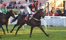 Ippica l'ultimo sabato di galoppo nel mese di novembre all'Ippodromo Snai San Siro vede Stardinia vincere il Premio Brianza. Nel Premio Autunno di San Siro si imponeva Bella Scommessa