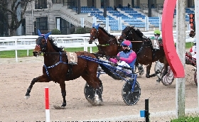 Ippica 'pokerissimo' di Stonehillpearl nella domenica fredda di trotto all'Ippodromo Snai San Siro che ha chiuso il mese di novembre. A dicembre si continua con le ultime quattro giornate del 2025