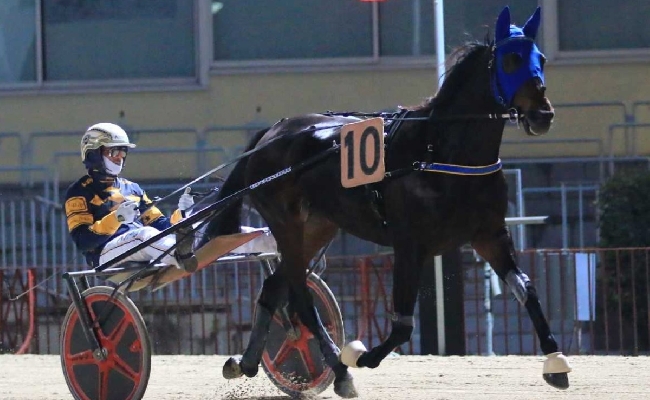 Ippica Ippodromo di Bologna: Cannes dei Greppi e All About Bi si qualificano alla finale del Palio dei Proprietari