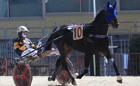 Ippica Ippodromo di Bologna: Cannes dei Greppi e All About Bi si qualificano alla finale del Palio dei Proprietari