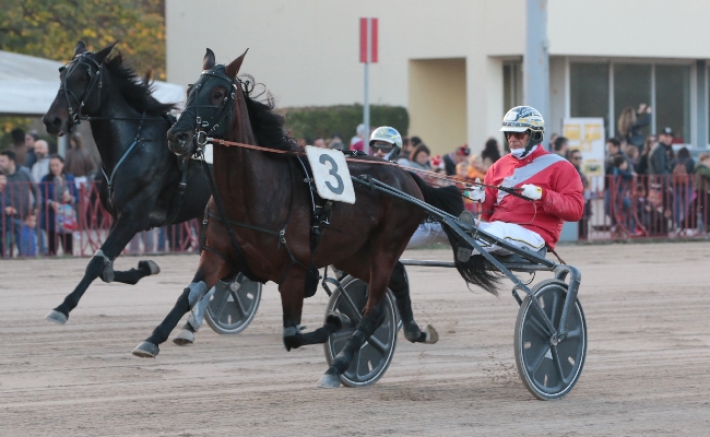 Ippica Ippodromo di Bologna: lunedì 8 dicembre otto corse dalle 14:15. Per le famiglie battesimo della sella e trenino