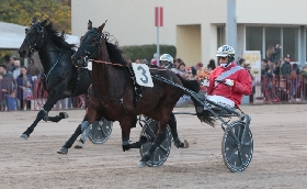 Ippica Ippodromo di Bologna: lunedì 8 dicembre otto corse dalle 14:15. Per le famiglie battesimo della sella e trenino