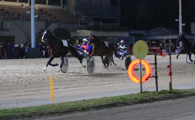 Ippica Ippodromo Arcoveggio di Bologna: sabato 6 dicembre Lucio Curato vince la Finale del Trofeo delle Regioni