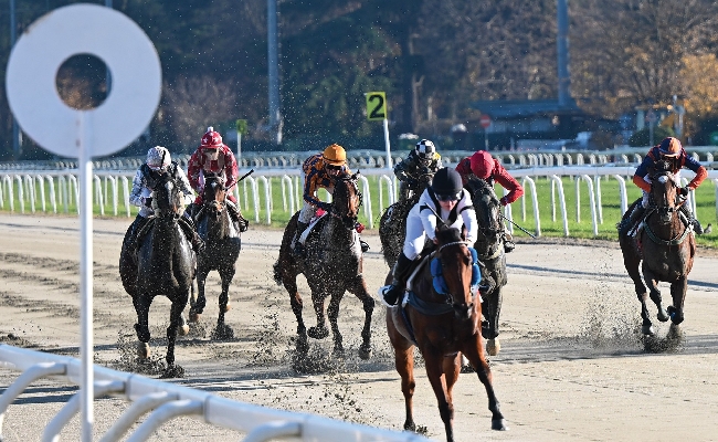 ippica all’ippodromo snai san siro la pista in sabbia di galoppo si conferma ottima nel lunedì valido per la 54^ stagionale in cui touch me again ed ersilia vincono i due handicap limitati