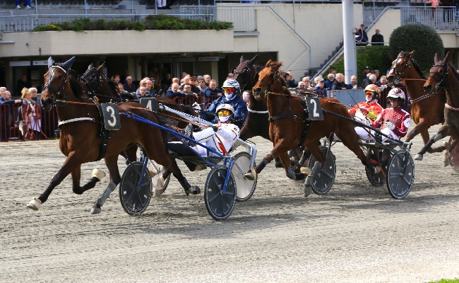 Ippica Ippodromo di Bologna: giovedì 11 dicembre otto corse con ottime individualità e pronostici incerti. Dalle 14:38