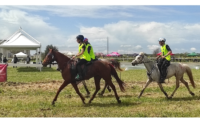 Endurance: a Tanca Regia la Finale Circuito Asvi Giovani Cavalli si gareggia anche per la Coppa Sardegna e il Campionato Sardo