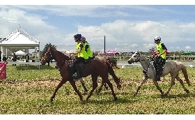Endurance: a Tanca Regia la Finale Circuito Asvi Giovani Cavalli si gareggia anche per la Coppa Sardegna e il Campionato Sardo