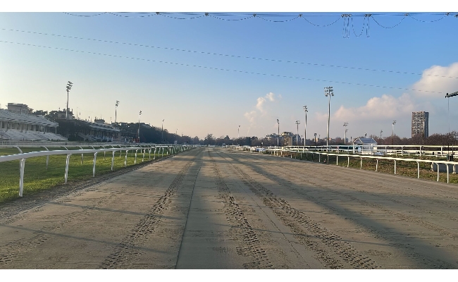  sabato all’ippodromo snai san siro la 55^ stagionale di galoppo a partire dalle ore 14:25. sulla pista in sabbia di milano sei prove con in evidenza la condizionata valida per il premio scuderia rencati