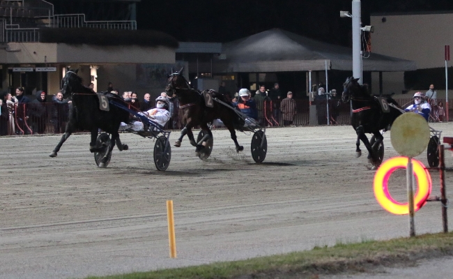 Ippica Ippodromo di Bologna: domenica 14 dicembre la Finale del Palio dei Proprietari ed il Due Torri con attività collaterali per famiglie