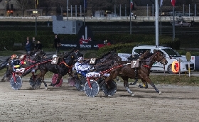Ippodromo di Bologna: il Veneto si afferma nel Palio dei Proprietari con la vittoria di Diana Pizz e il secondo posto di Commander Lake