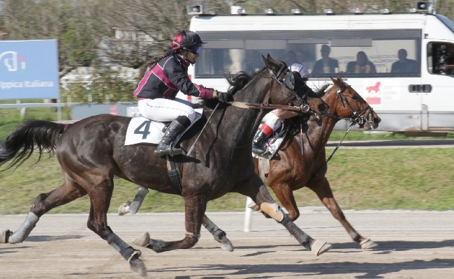 Ippica venerdì all'Ippodromo Snai San Siro di Milano la finale del 'Trofeo Trotto Montato'
