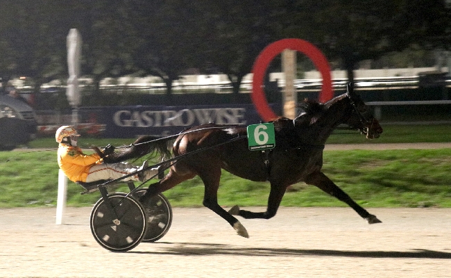Ippica bella domenica di trotto all'Ippodromo Snai San Siro di Milano
