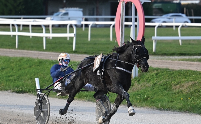 Ippica Ippodromo Snai San Siro: finale trotto Trofeo Luigi Canzi vince Eminem Font