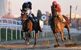 Ippica martedì all'Ippodromo Snai San Siro sei corse handicap dalle 14.40