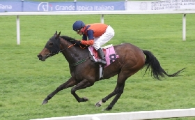 Ippica December Hurdle a Leopardstown su Betflag Lossiemouth a 1 30