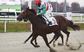 Ippica all'Ippodromo Snai San Siro di Milano il martedì di galoppo regala emozioni e conferme