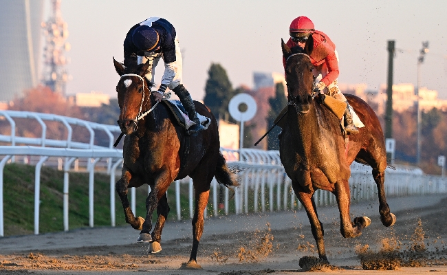 Ippica Ippodromo Snai San Siro: lunedì 29 dicembre ultima stagionale di galoppo del 2025