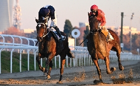 Ippica Ippodromo Snai San Siro: lunedì 29 dicembre ultima stagionale di galoppo del 2025