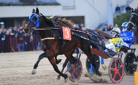 Ippica Ippodromo di Bologna: il 2025 si è concluso con una tripla vittoria di Enrico Bellei. Prossimo appuntamento il 1° gennaio