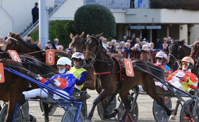 Ippica Ippodromo di Bologna: il 1° gennaio si inaugura l'anno di trotto con sette corse