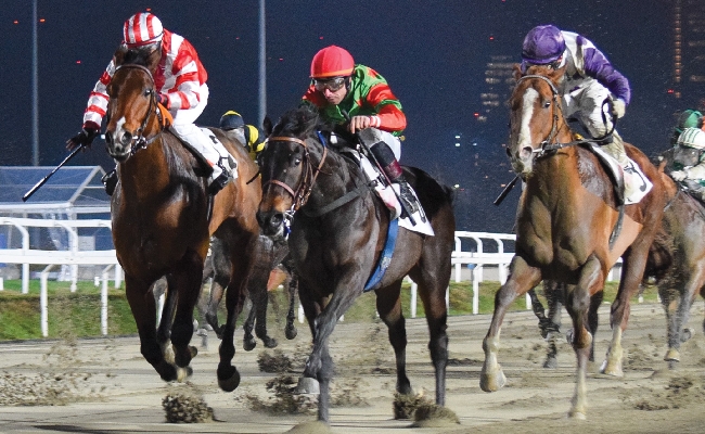 Ippica Ippodromo Snai san Siro: sabato 3 gennaio al via la 106^ stagione di galoppo