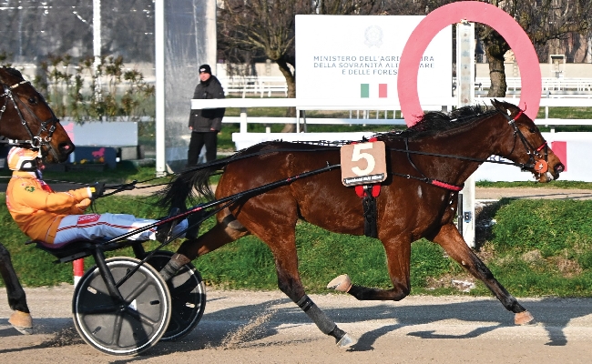  Trotto Ippodromo Snai San Siro: Galaxia Des Col vince il Premio Scuderia Indal