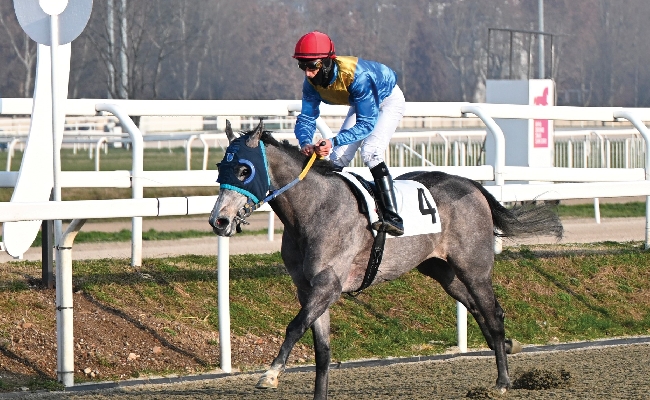 Ippica Ippodromo Snai San Siro: Native Beach vince nella condizionata per il Premio Stagione di San Siro 2026