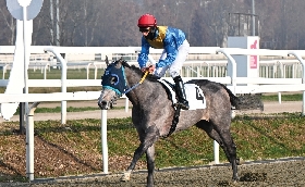 Ippica Ippodromo Snai San Siro: Native Beach vince nella condizionata per il Premio Stagione di San Siro 2026