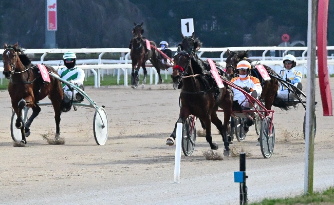 Ippica Ippodromo Snai San siro: nel martedì di trotto brilla Gemma degli dei nel Premio Anselmo Fontanesi