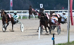 Ippica Ippodromo Snai San siro: nel martedì di trotto brilla Gemma degli dei nel Premio Anselmo Fontanesi