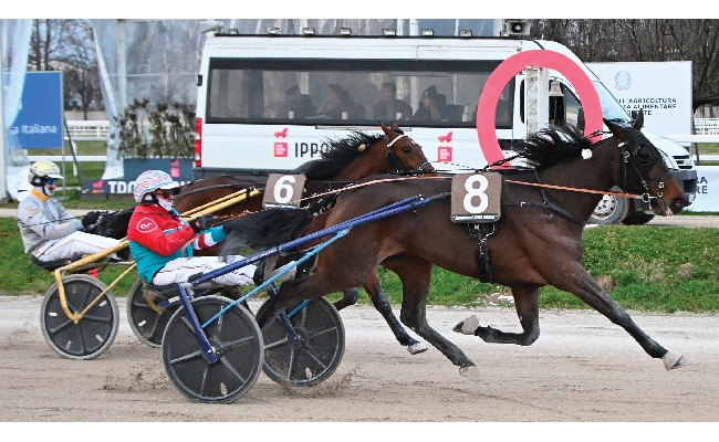 Ippica Ippodromo Snai San Siro: vittoria e record per Indigo Roc nel lunedì di trotto con il Premio Brighenti