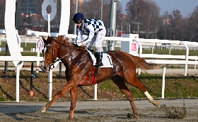 Ippica GIRL SUPREME ILLUMINA IL MERCOLEDÌ DI GALOPPO ALL’IPPODROMO SNAI SAN SIRO