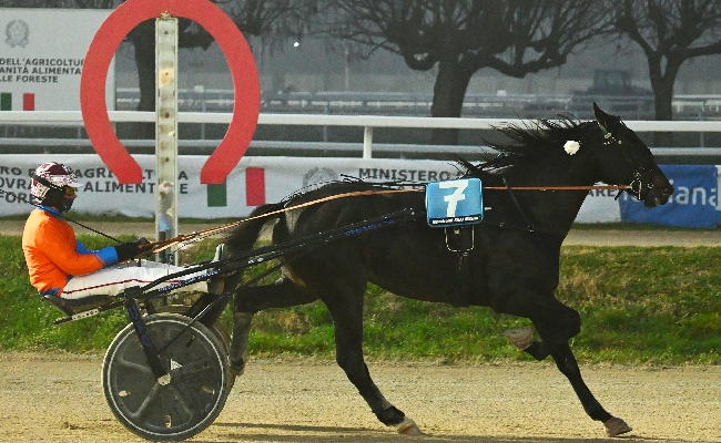 Ippica Ippodromo Snai San Siro: Gaga Lady si aggiudica il Premio Aleksandr Finn