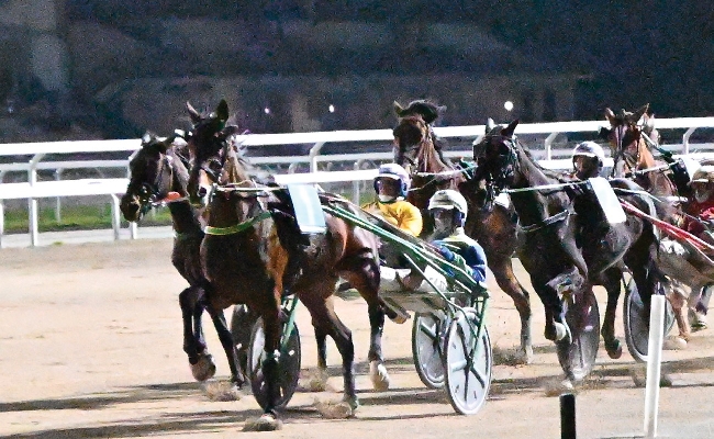 Ippica Ippodromo Snai San Siro: giovedì la 7^ giornata di trotto con sette corse