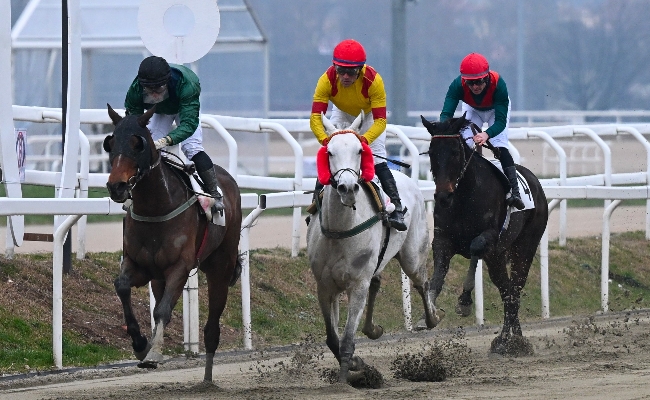ippodromo snai san siro