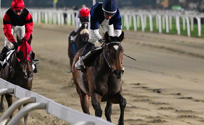 Ippica Ippodromo Snai San Siro Sopran Lucca vince Red Maximus venerdì galoppo